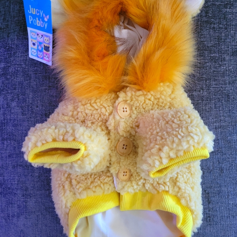 Dog costume lion